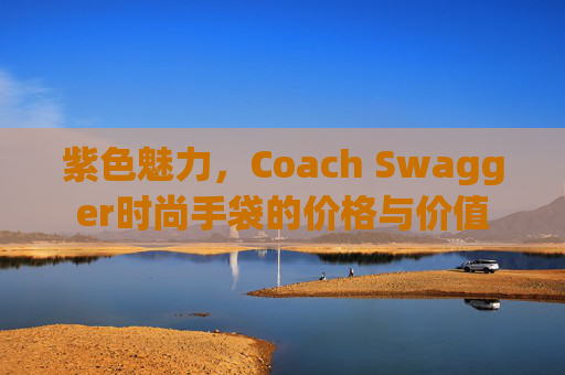 紫色魅力，Coach Swagger时尚手袋的价格与价值
